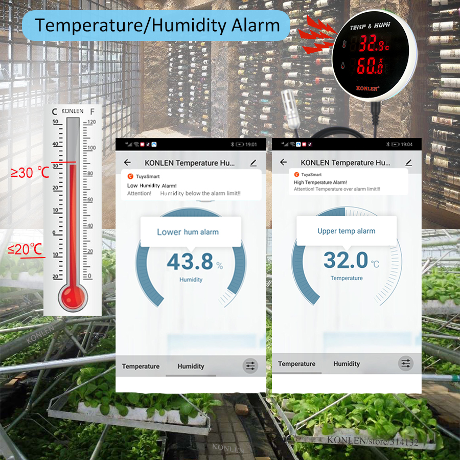 Tuya WIFI Temperature Humidity - Digital Hygrometer Probe ulasan dan harga