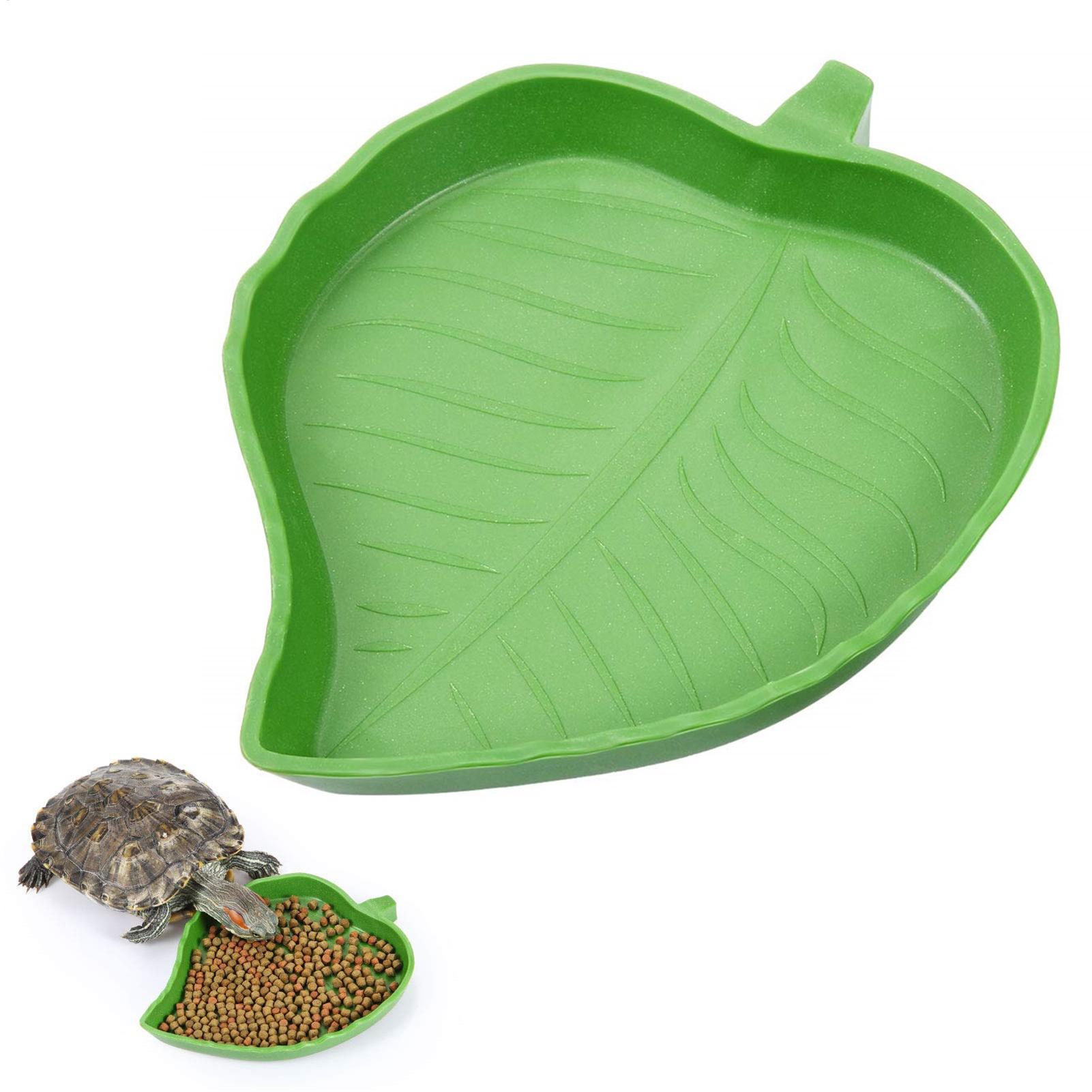 Turtle Feeding Bowl Reptile Fe - Water Dish Reptile ulasan dan harga