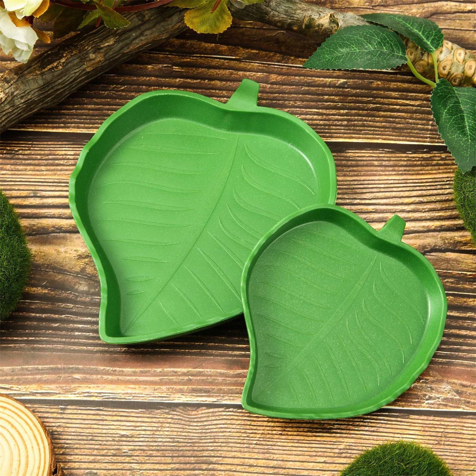 Turtle Feeding Bowl Reptile Fe - Water Dish Reptile ulasan dan harga