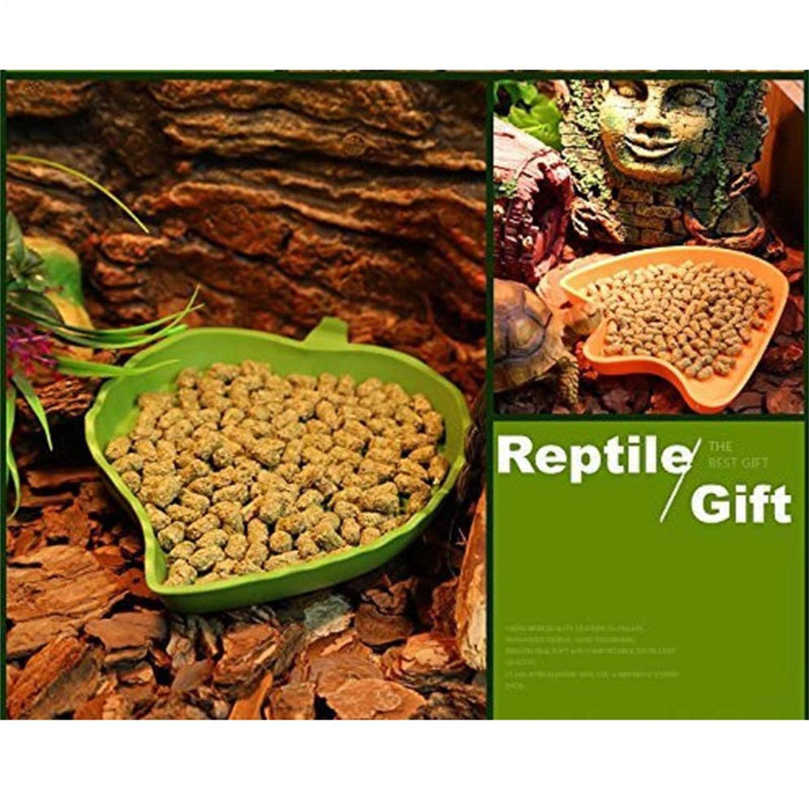 Turtle Feeding Bowl Reptile Fe - Water Dish Reptile ulasan dan harga