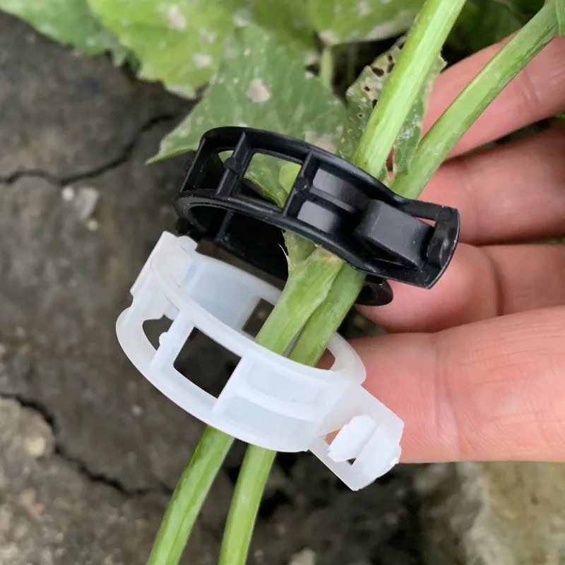 Reusable Plastic Plant Support - Vine Climbing Plastic ulasan dan harga