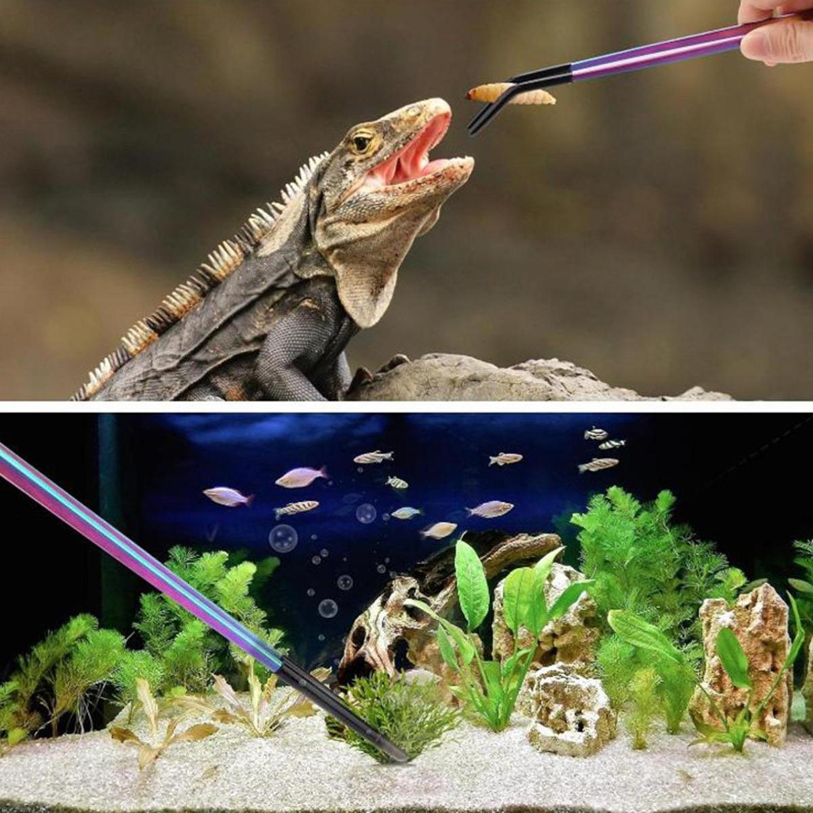 Terrarium Reptile Feeder Tongs - Feeding Tong Stainless ulasan dan harga