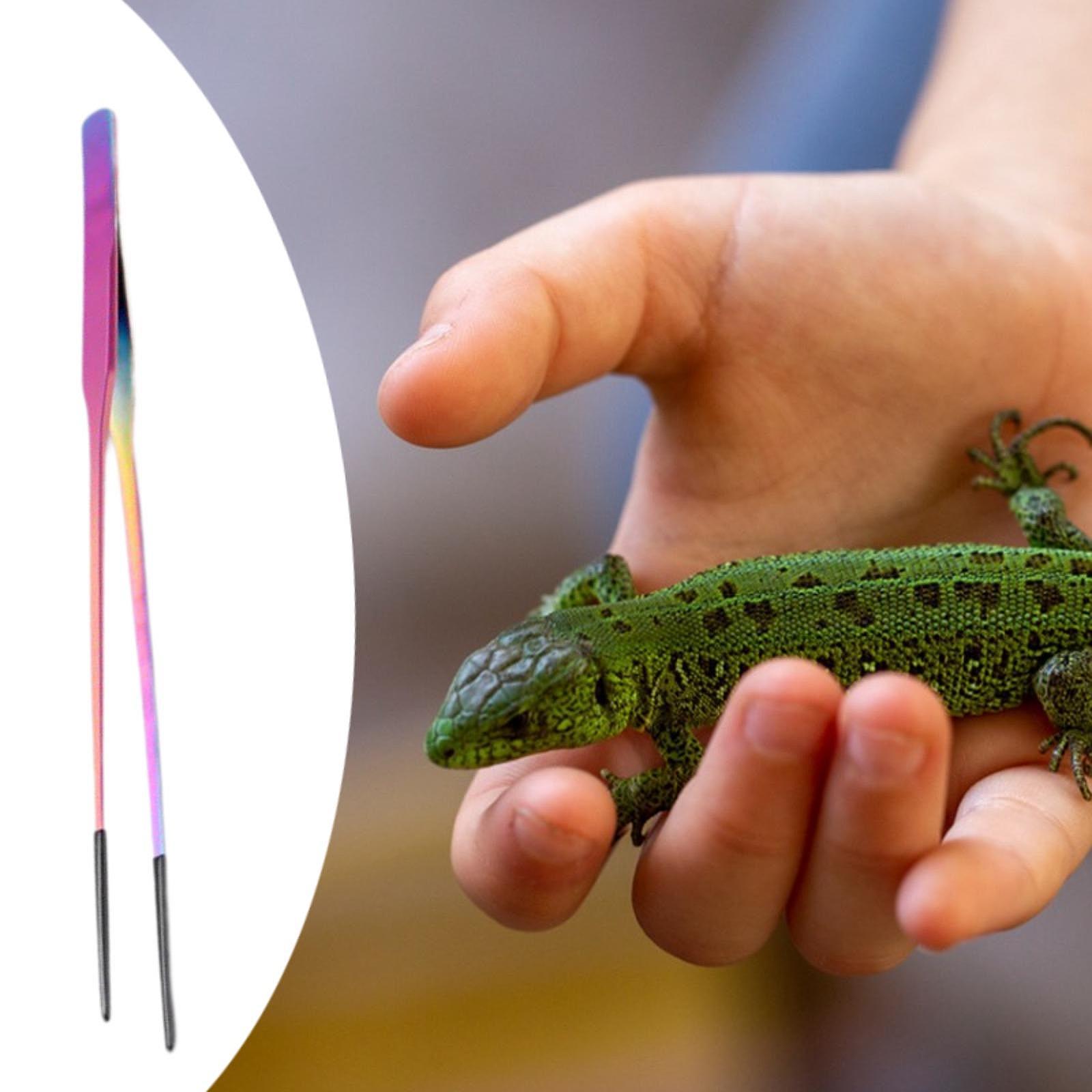 Terrarium Reptile Feeder Tongs - Feeding Tong Stainless ulasan dan harga