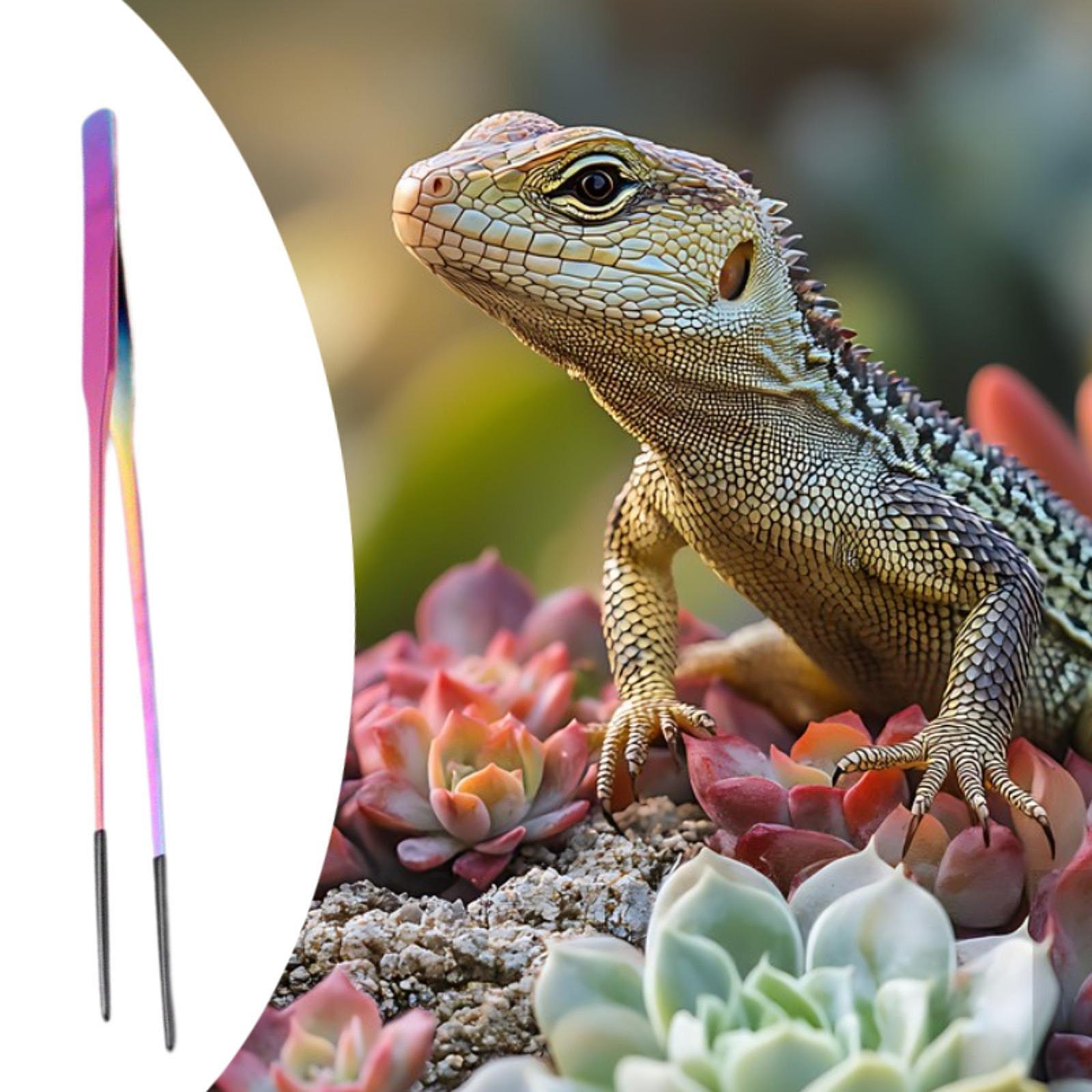 Terrarium Reptile Feeder Tongs - Feeding Tong Stainless ulasan dan harga