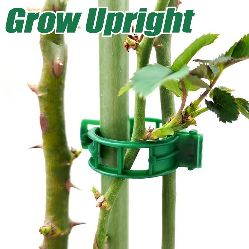 10-500Pcs Garden Plant Support - Vine Climbing Plastic ulasan dan harga