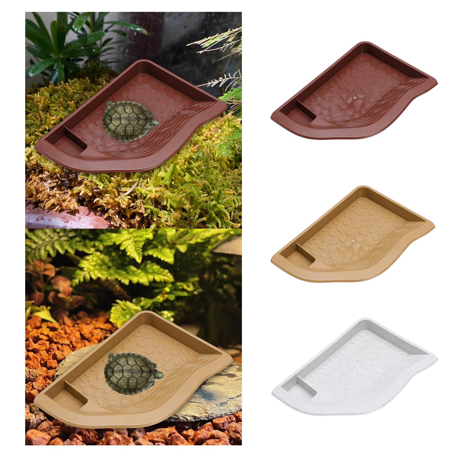 Reptile Pool Water Dish, Torto - Water Dish Reptile ulasan dan harga