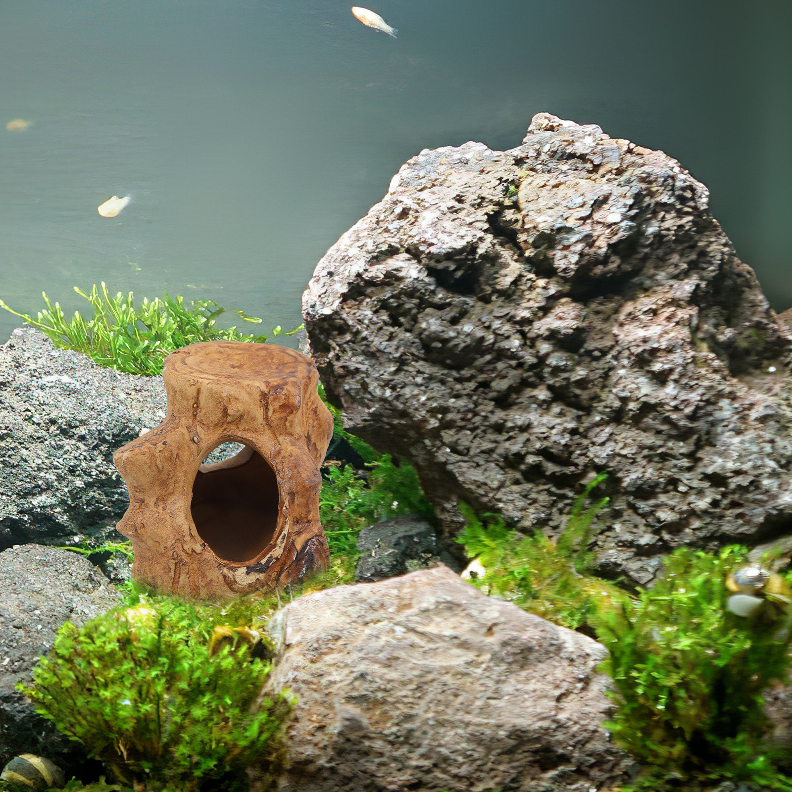 Pleco Caves for Aquarium Fish  - Hide Cave Ceramic ulasan dan harga