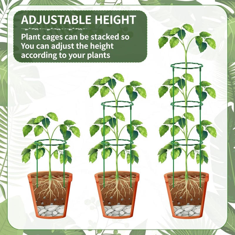 Plastic Plant Support Pile Fra - Vine Climbing Plastic ulasan dan harga