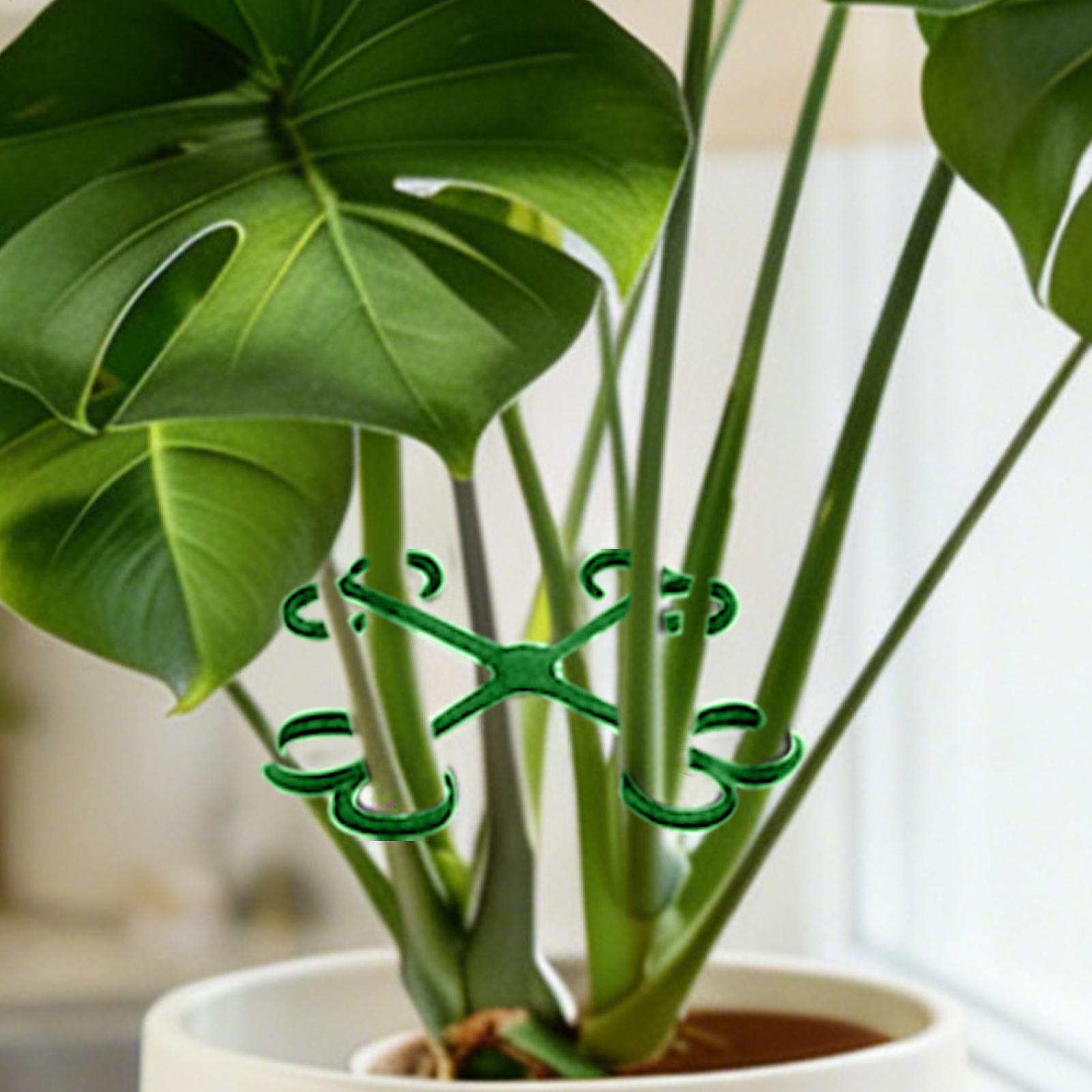 4Pcs Plant Stem Support Clips  - Vine Climbing Plastic ulasan dan harga