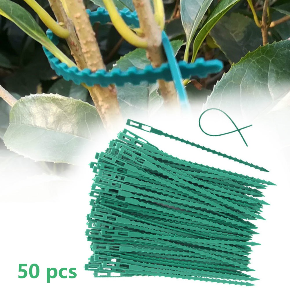 50Pcs Reusable Adjustable Plas - Vine Climbing Plastic ulasan dan harga