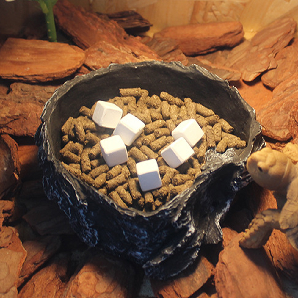6Pcs Tortoise Tank Calcium Cub - Calcium Powder Reptile ulasan dan harga