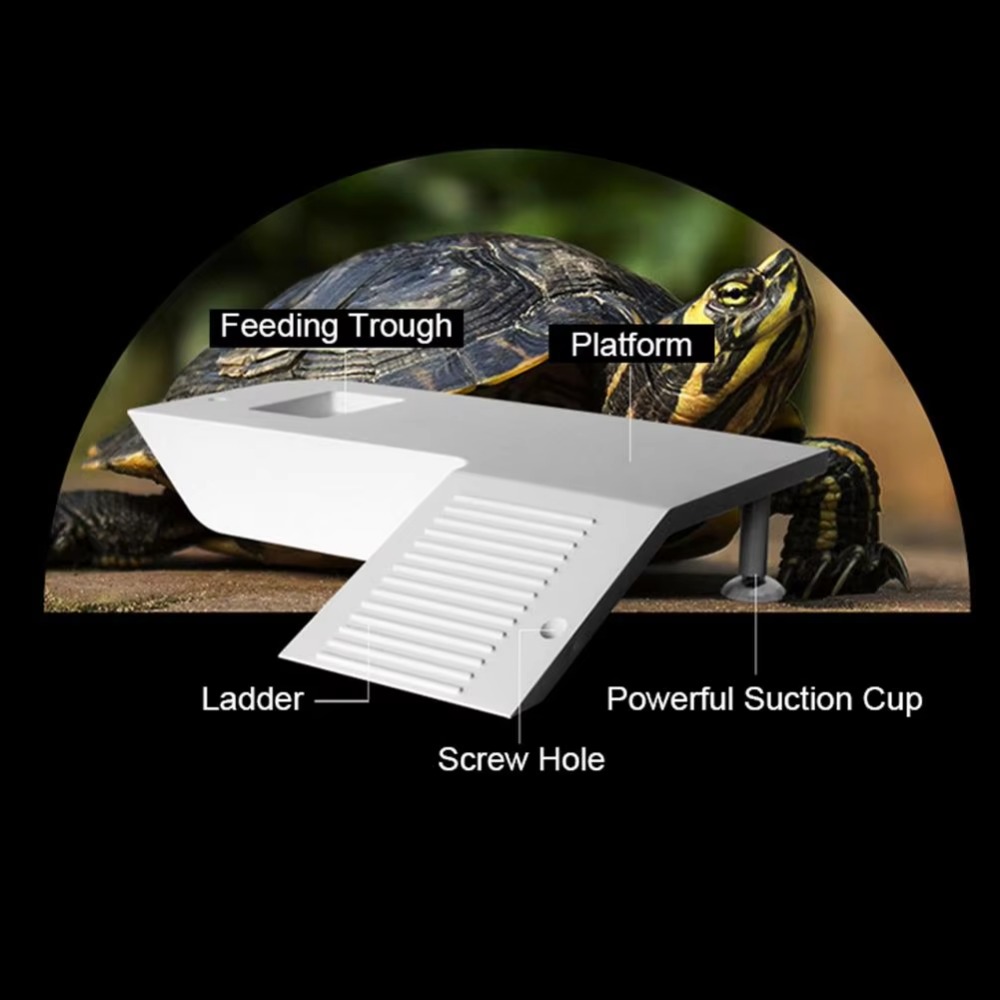 Water Land Slope Box Feeding C - Water Dish Reptile ulasan dan harga